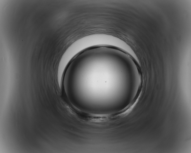X0000085220190200703091208