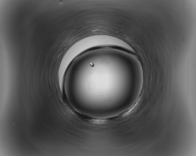 X0000085220192200703091208