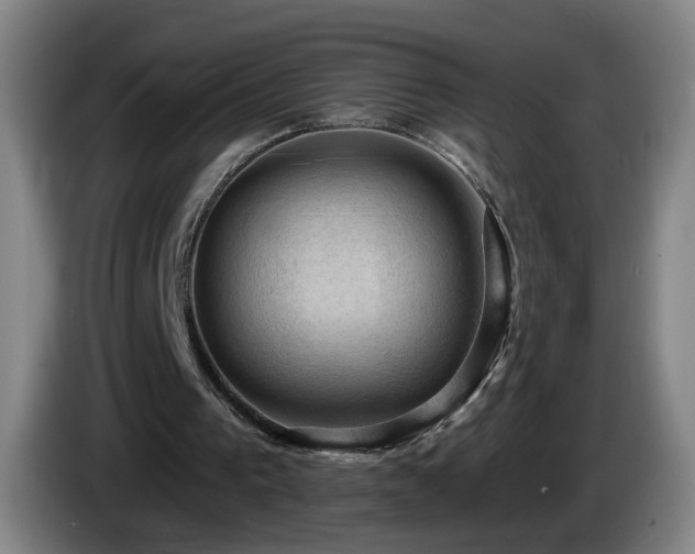X0000085220193200703091207