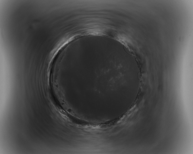 X0000085220194200703091207