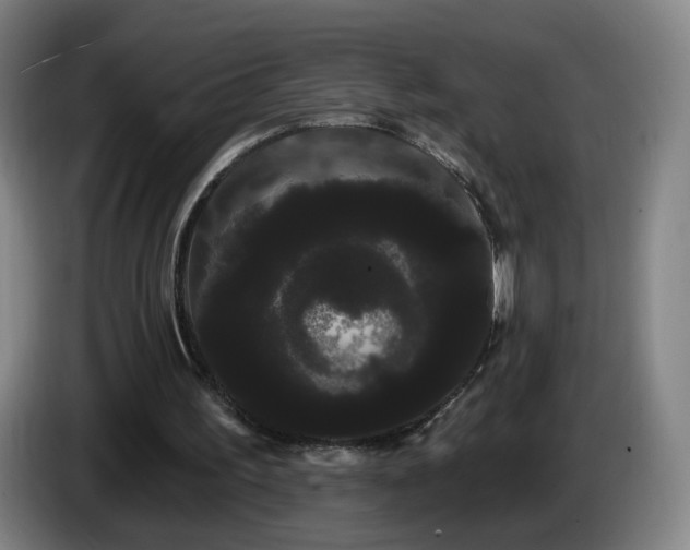 X0000085220195200703091207