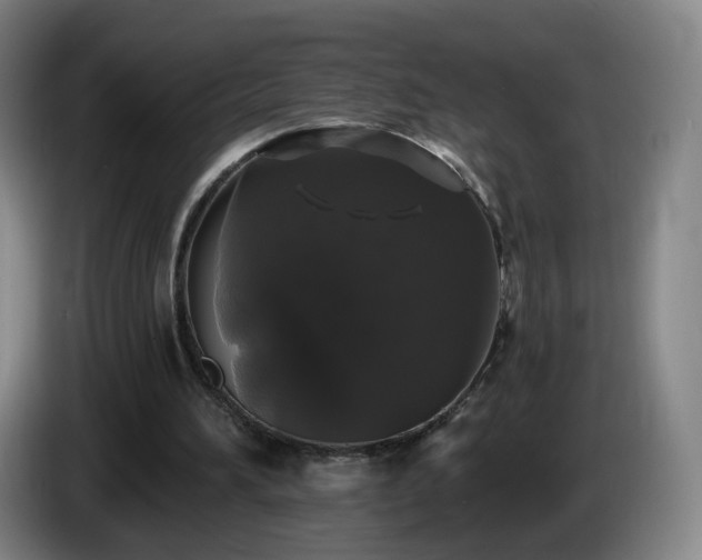 X0000085220196200703091207