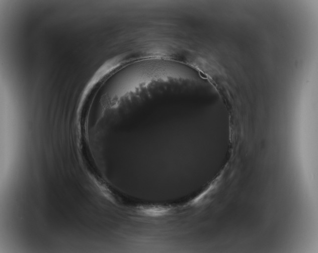 X0000085220198200703091207