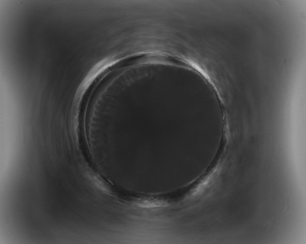 X0000085220199200703091207