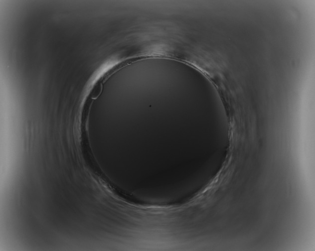X0000085220200200703091207