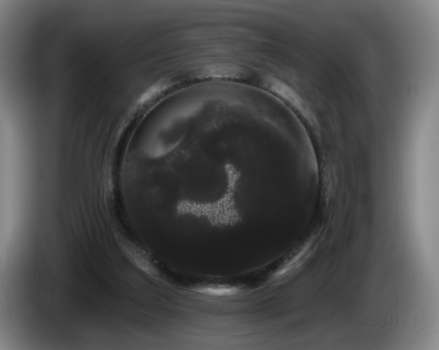 X0000085220203200703091207