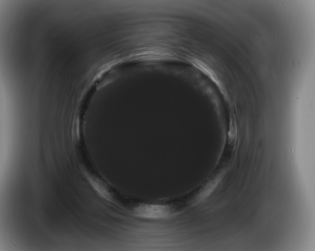 X0000085220205200703091207