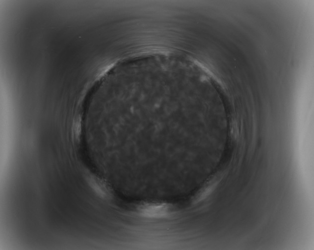 X0000085220206200703091207