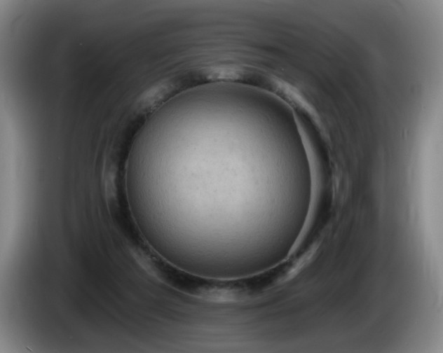 X0000085220209200703091207