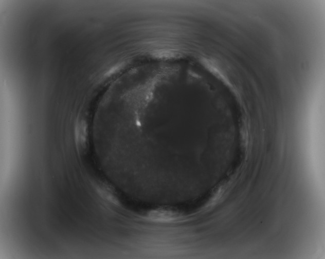 X0000085220211200703091207