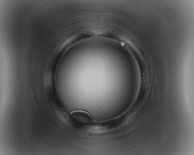 X0000085220212200703091207