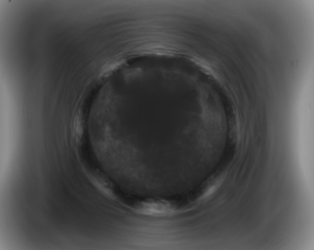 X0000085220215200703091207