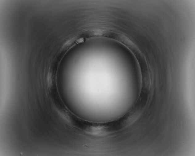 X0000085220216200703091207