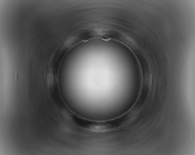 X0000085220220200703091207