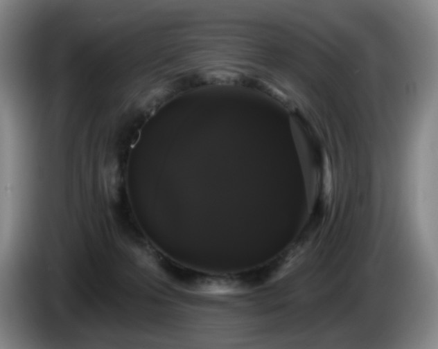 X0000085220223200703091207