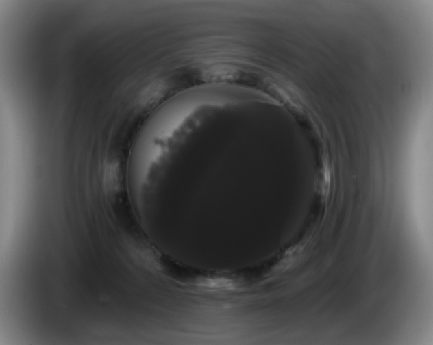 X0000085220224200703091207