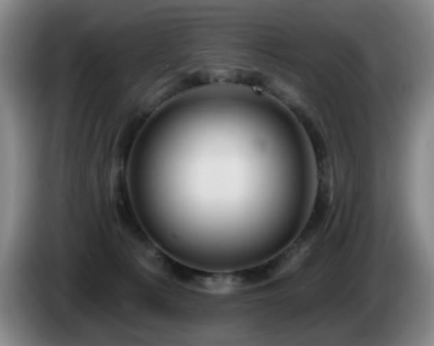 X0000085220225200703091207