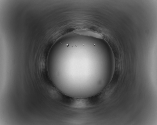 X0000085220226200703091207