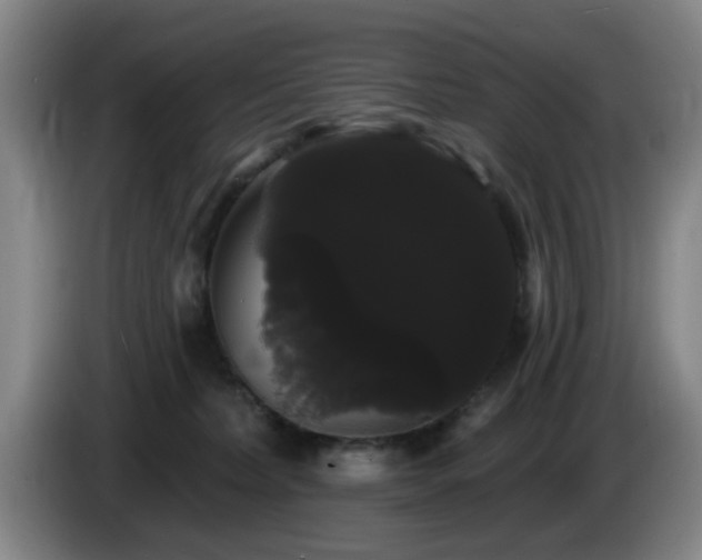 X0000085220228200703091207