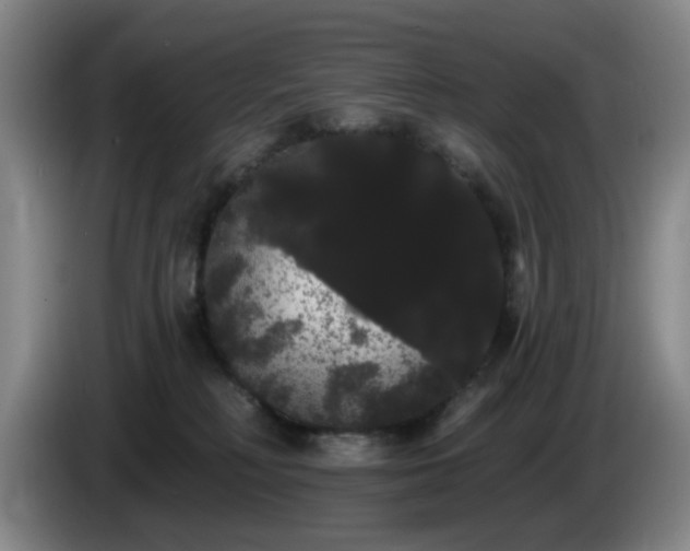 X0000085220230200703091207