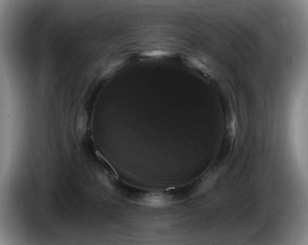 X0000085220231200703091207