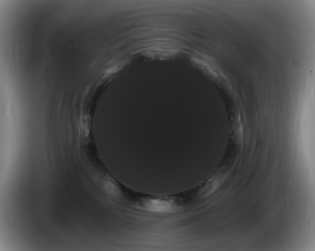X0000085220232200703091207