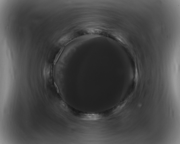 X0000085220233200703091207