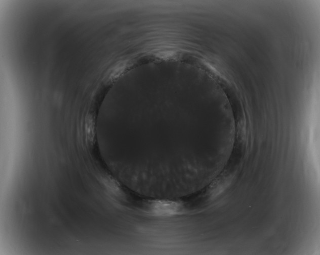 X0000085220234200703091207