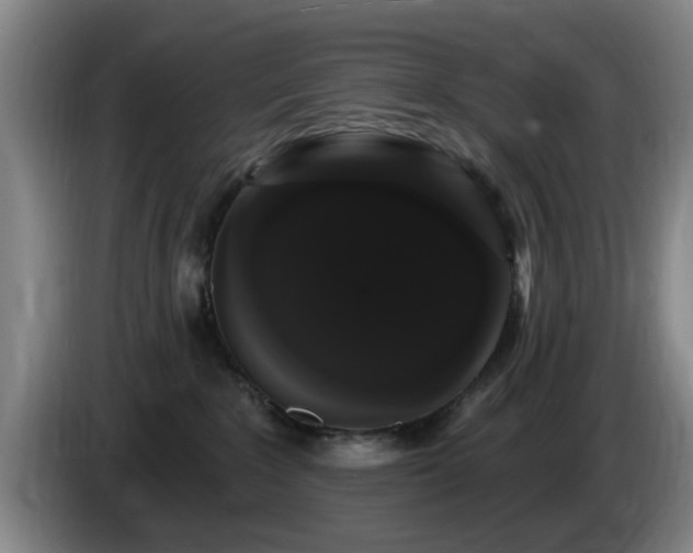 X0000085220235200703091207