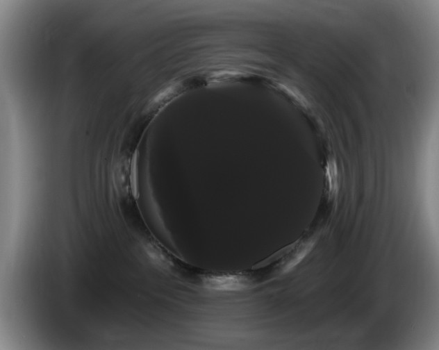 X0000085220237200703091207