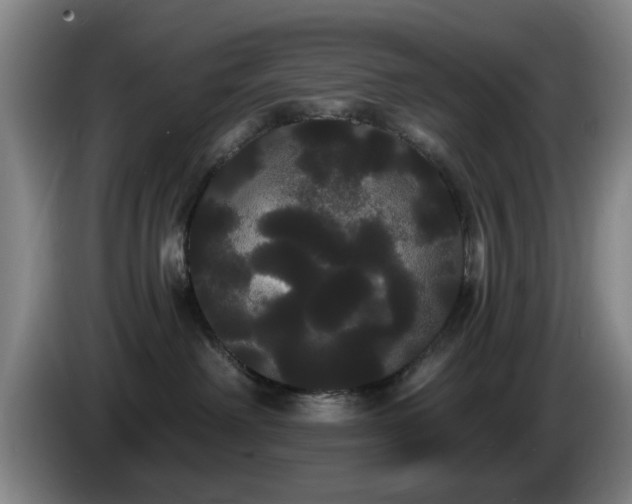 X0000085220238200703091207