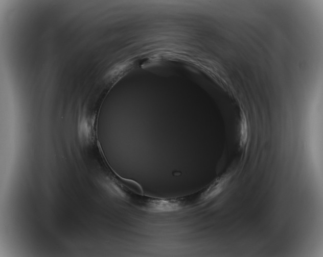 X0000085220239200703091207
