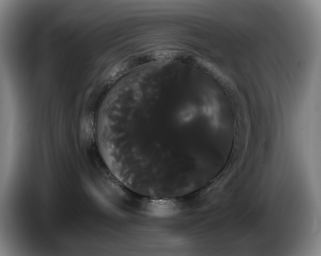 X0000085220240200703091207