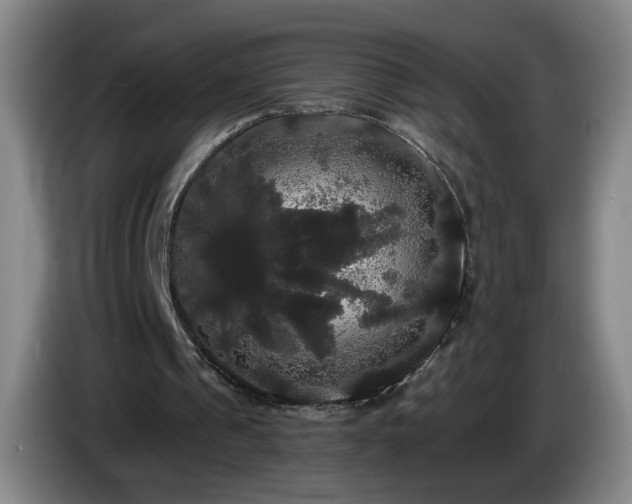 X0000085220241200703091206