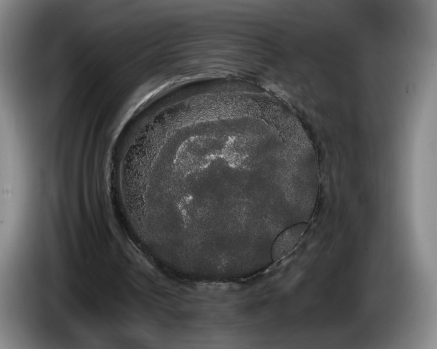 X0000085220242200703091206
