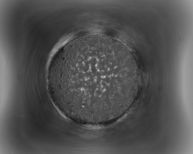 X0000085220245200703091206