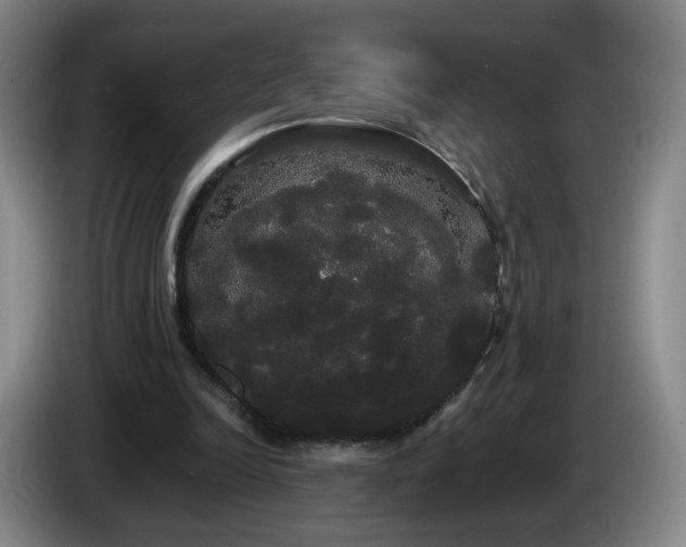 X0000085220246200703091206