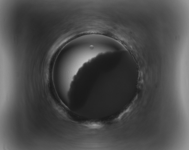 X0000085220247200703091206