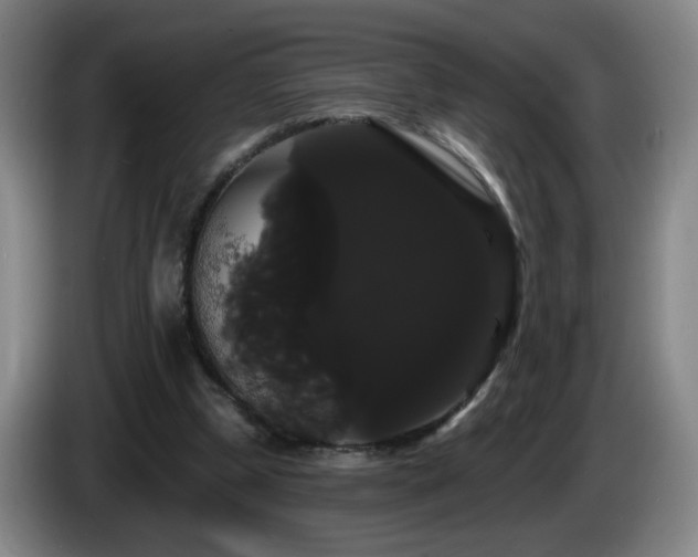 X0000085220249200703091206