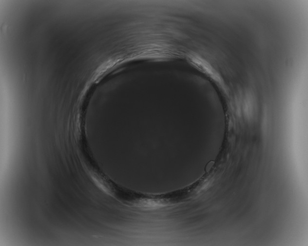 X0000085220250200703091206