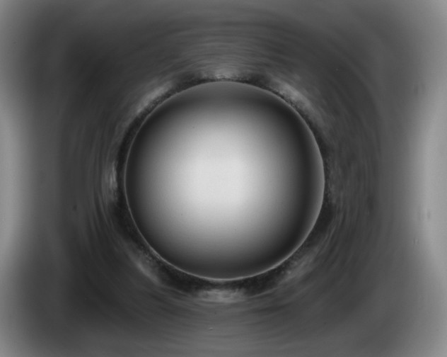 X0000085220251200703091206