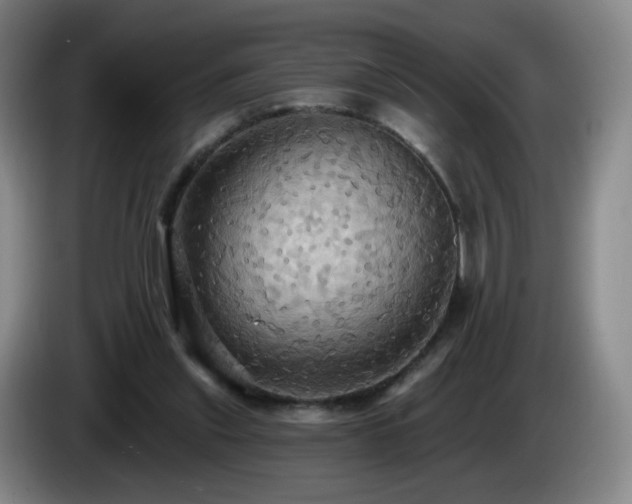 X0000085220253200703091206