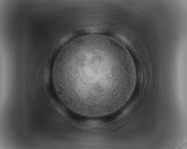 X0000085220255200703091206