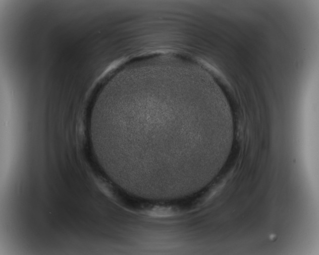 X0000085220256200703091206