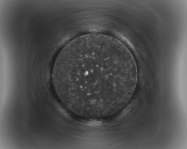 X0000085220257200703091206