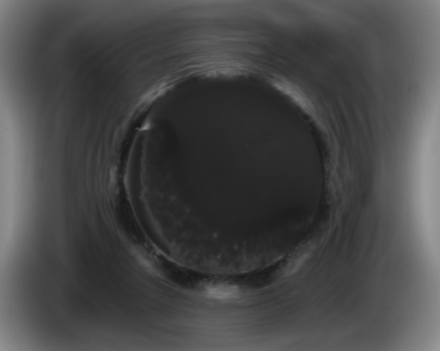 X0000085220258200703091206