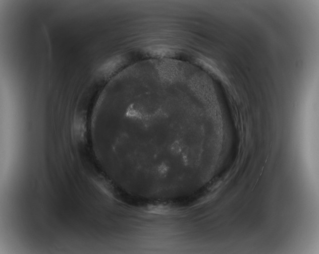 X0000085220259200703091206