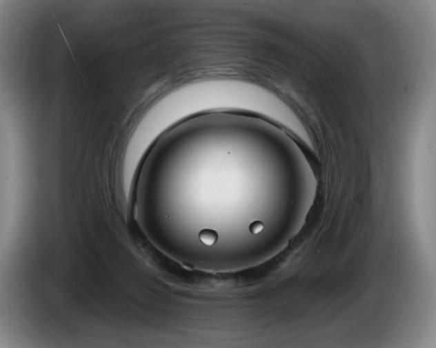 X0000085220260200703091206