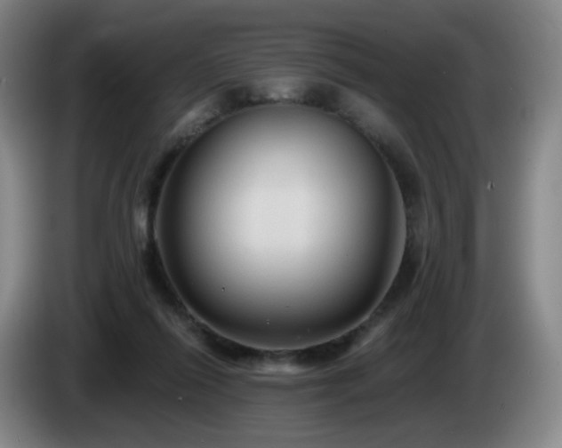 X0000085220262200703091206