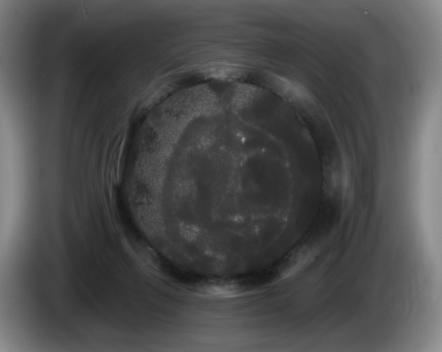 X0000085220263200703091206